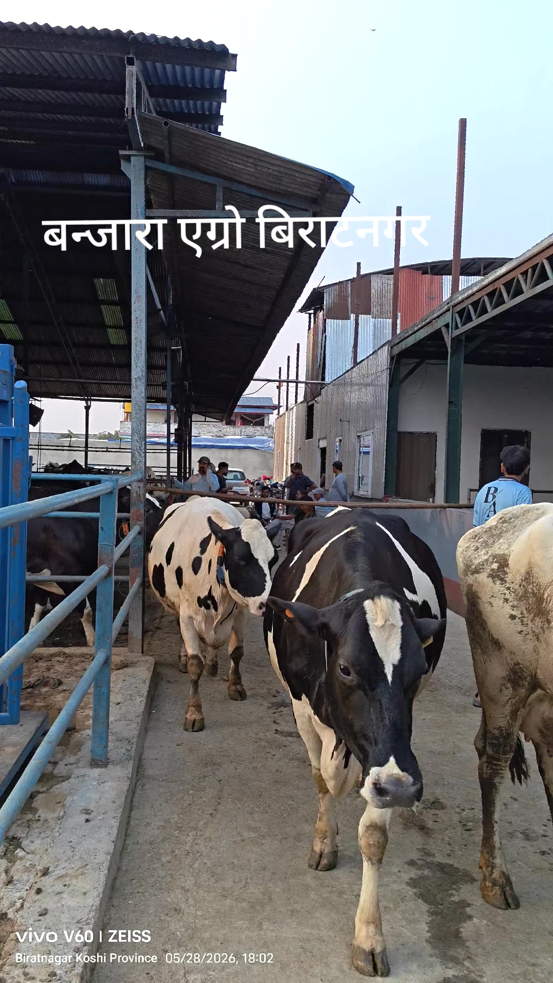 @Banjara Agro