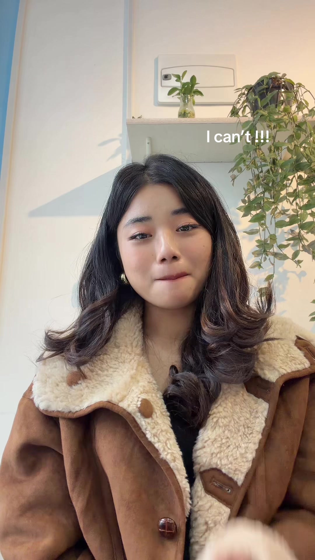 @๐_๐_๐ ๐ง๐น
