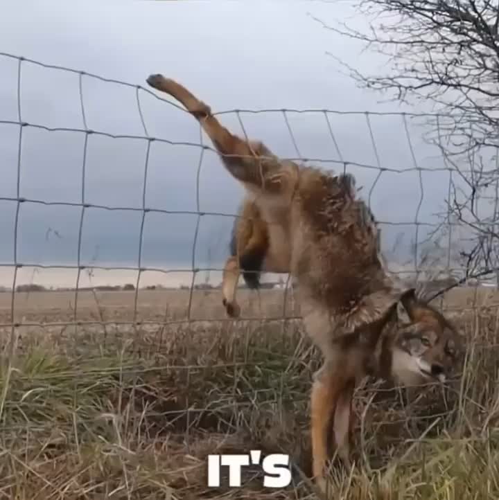 @Mike