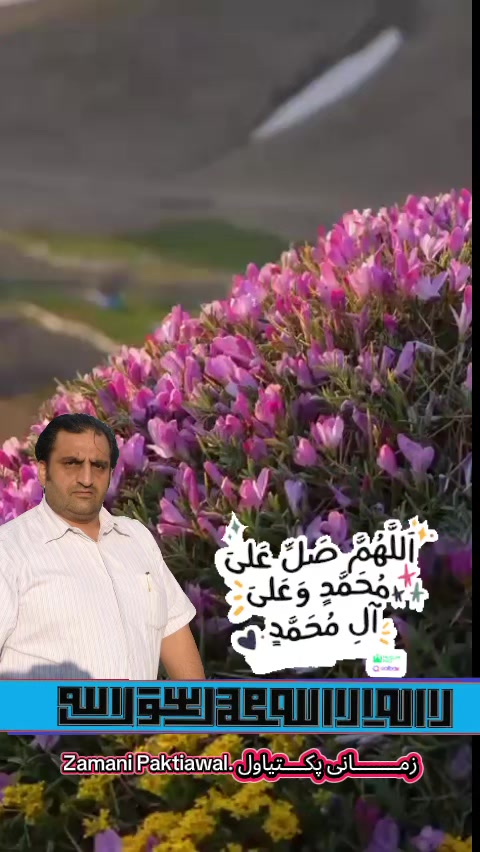 @Zamani Group Trading 🇦🇫