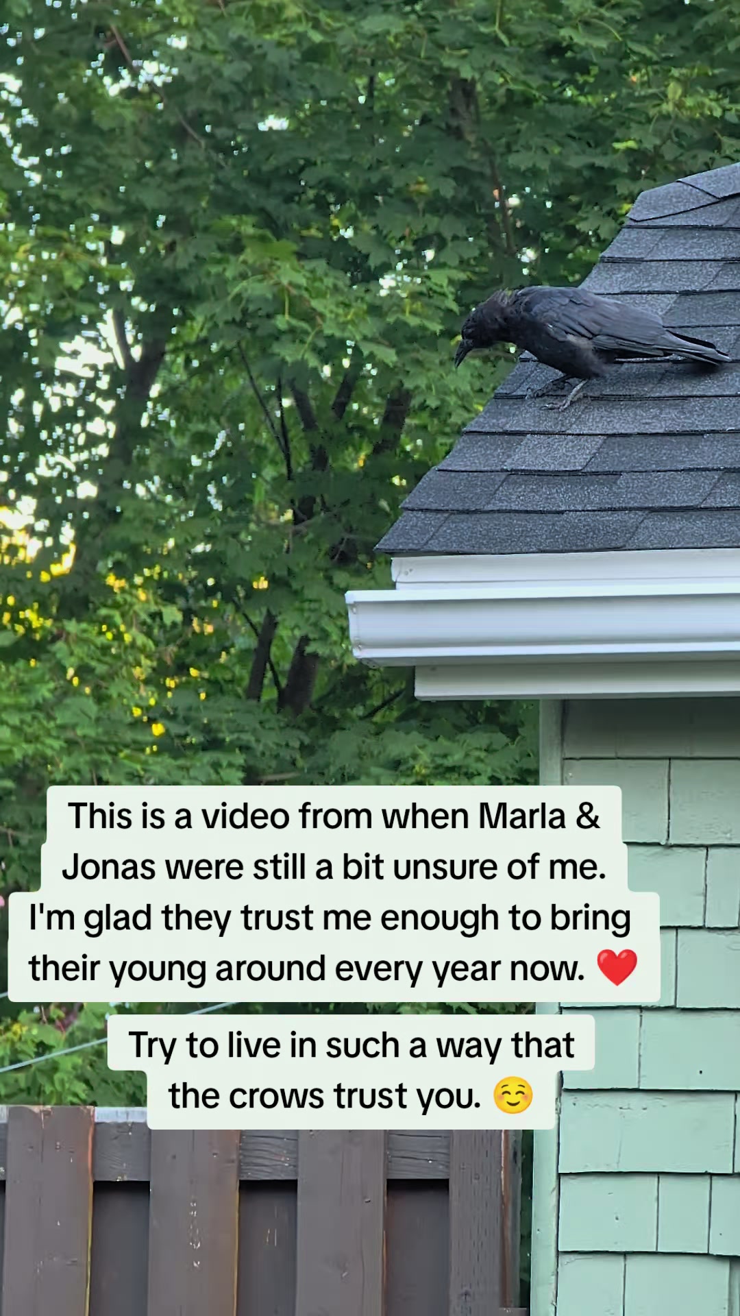 @MommaChonk🇨🇦