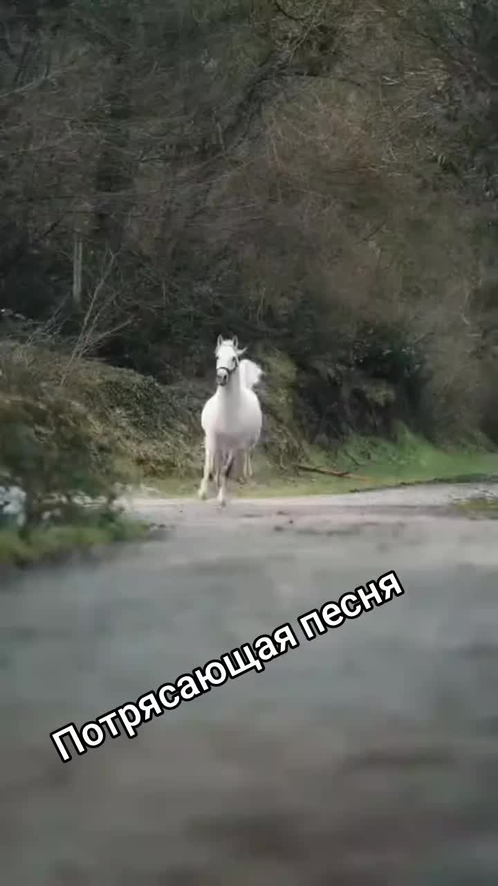 @Валентина Гусева