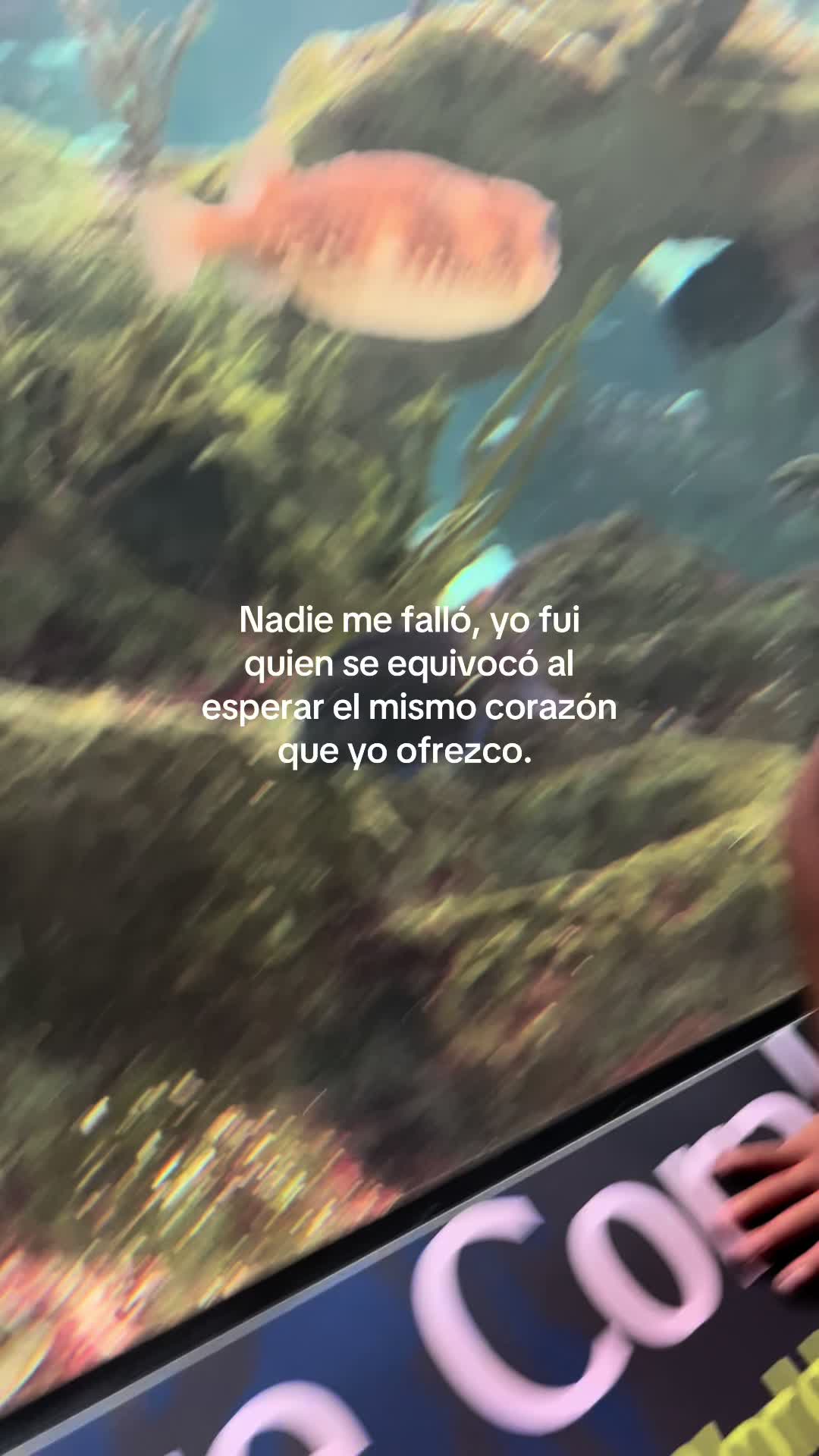 @Valentina