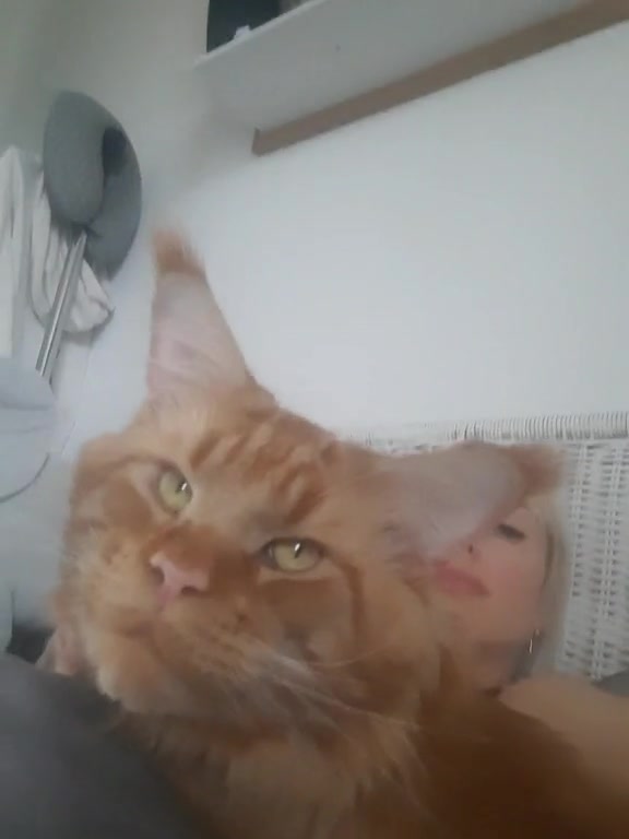 @Оксана