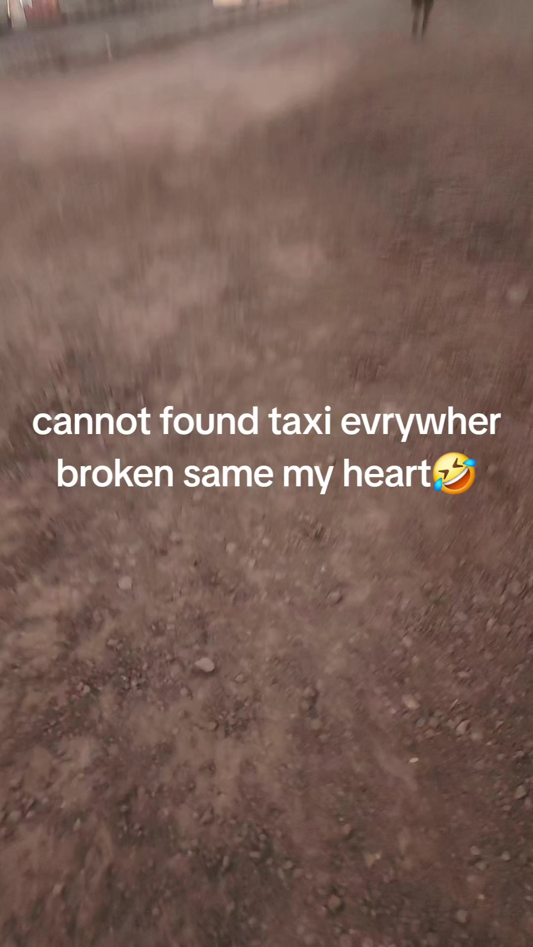 @Lj Lily