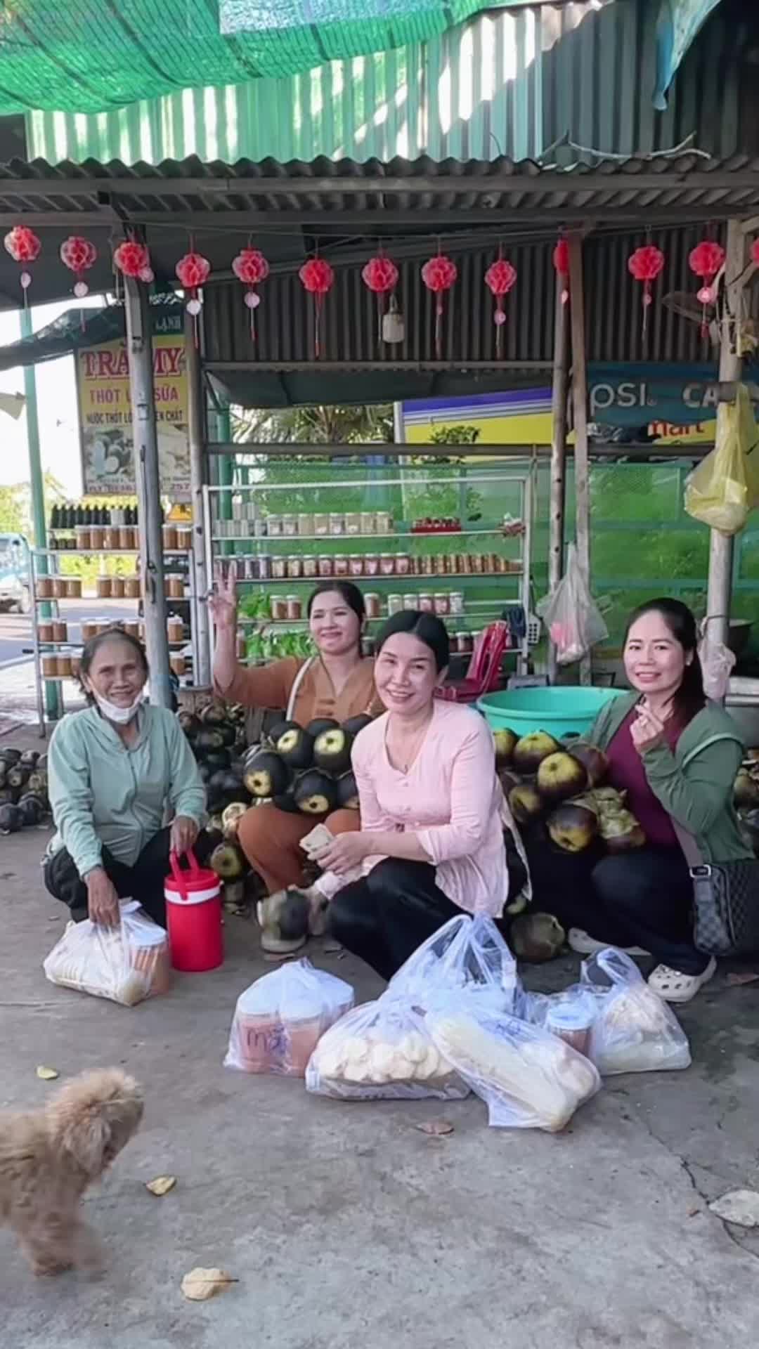 @Thốt nốt trà my