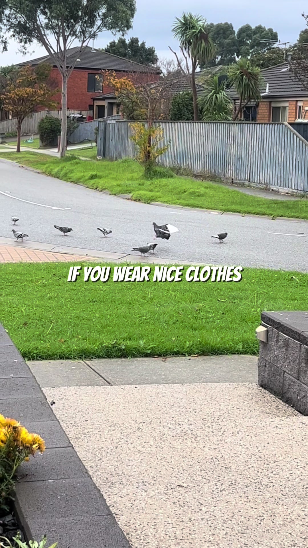 @Sidhu Sidhu