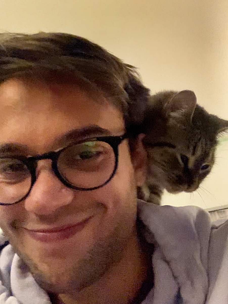 @Bellarda the cat