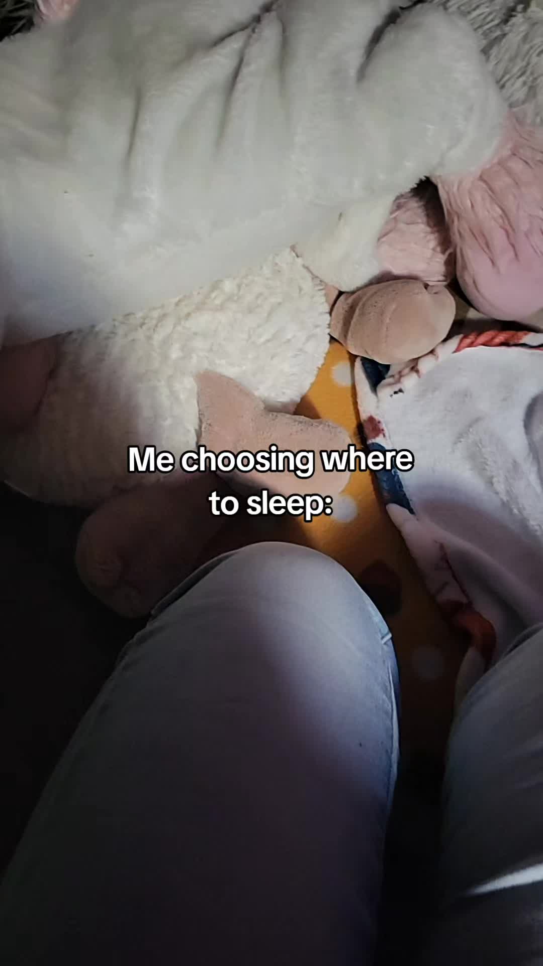 @๐๐๐๐๐๐๐ ๐๐๐๐๐๐๐