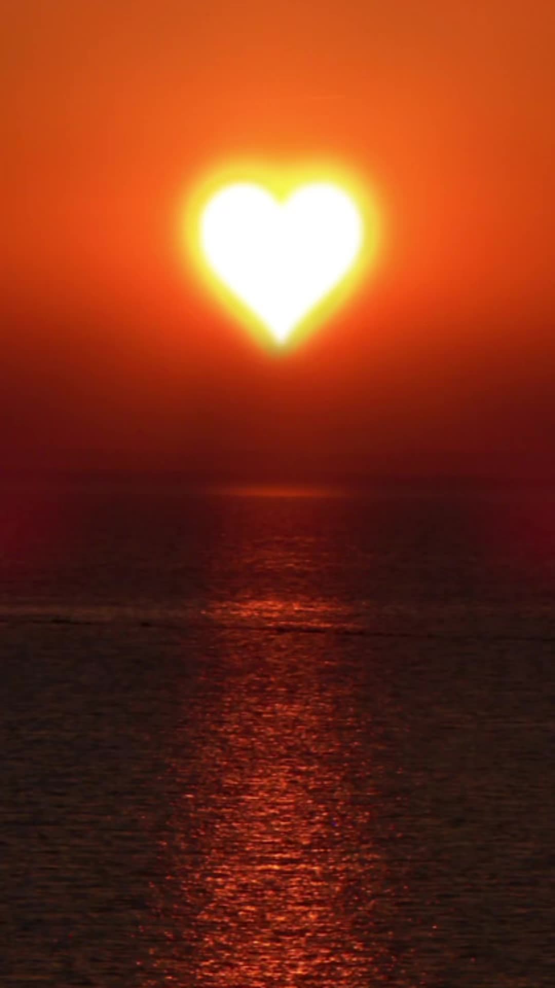 @𝒜𝓈𝒽 𝒜𝓁𝓁𝓊𝓇𝑒