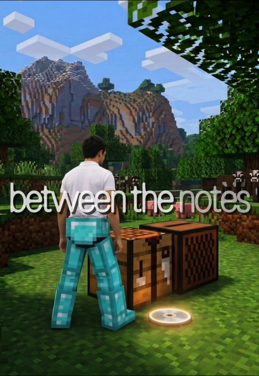@sbprez