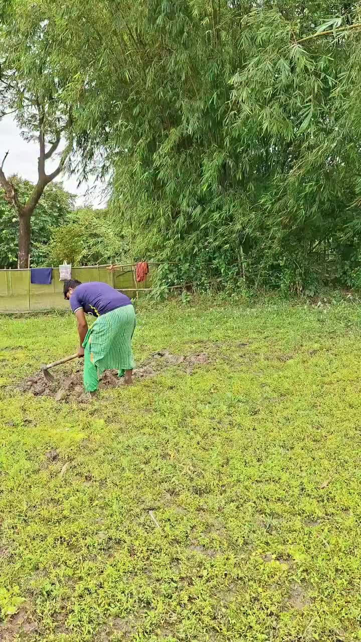 @tetroi02