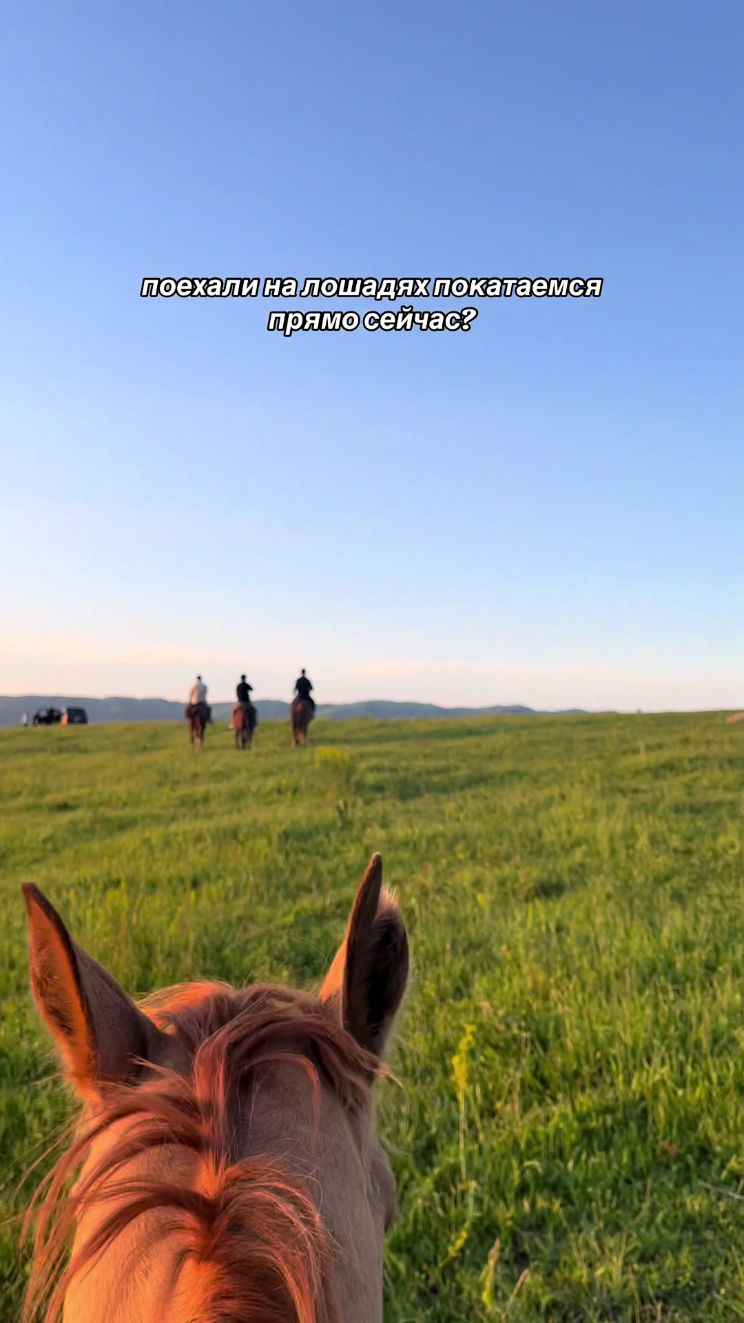 @akshatau_horses