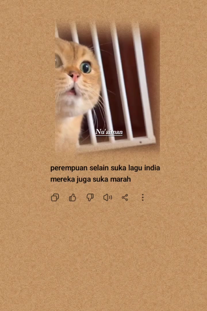 @Nu'Aiman