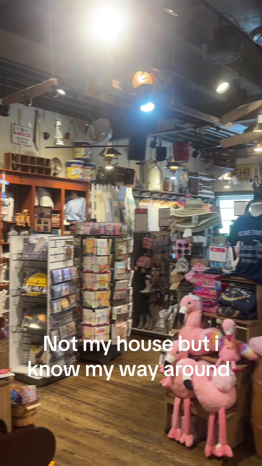 @Julia Shea Hamilton
