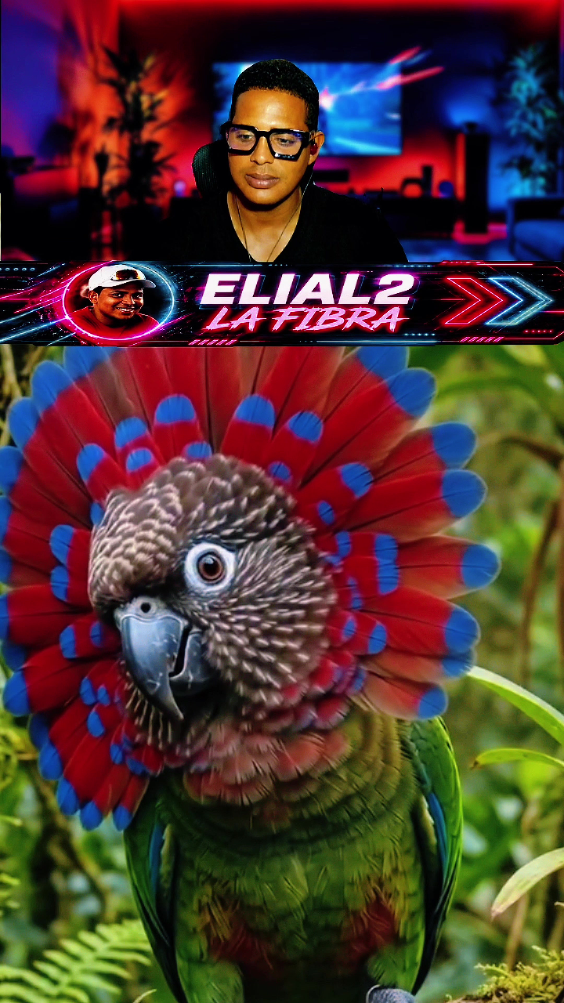 @Elial2 la fibra