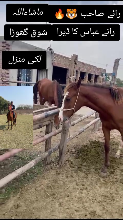 @Ali🔥Haider👈rajpoot😈