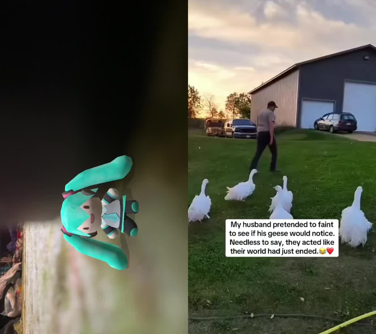 @Luca🇺🇸 🆘