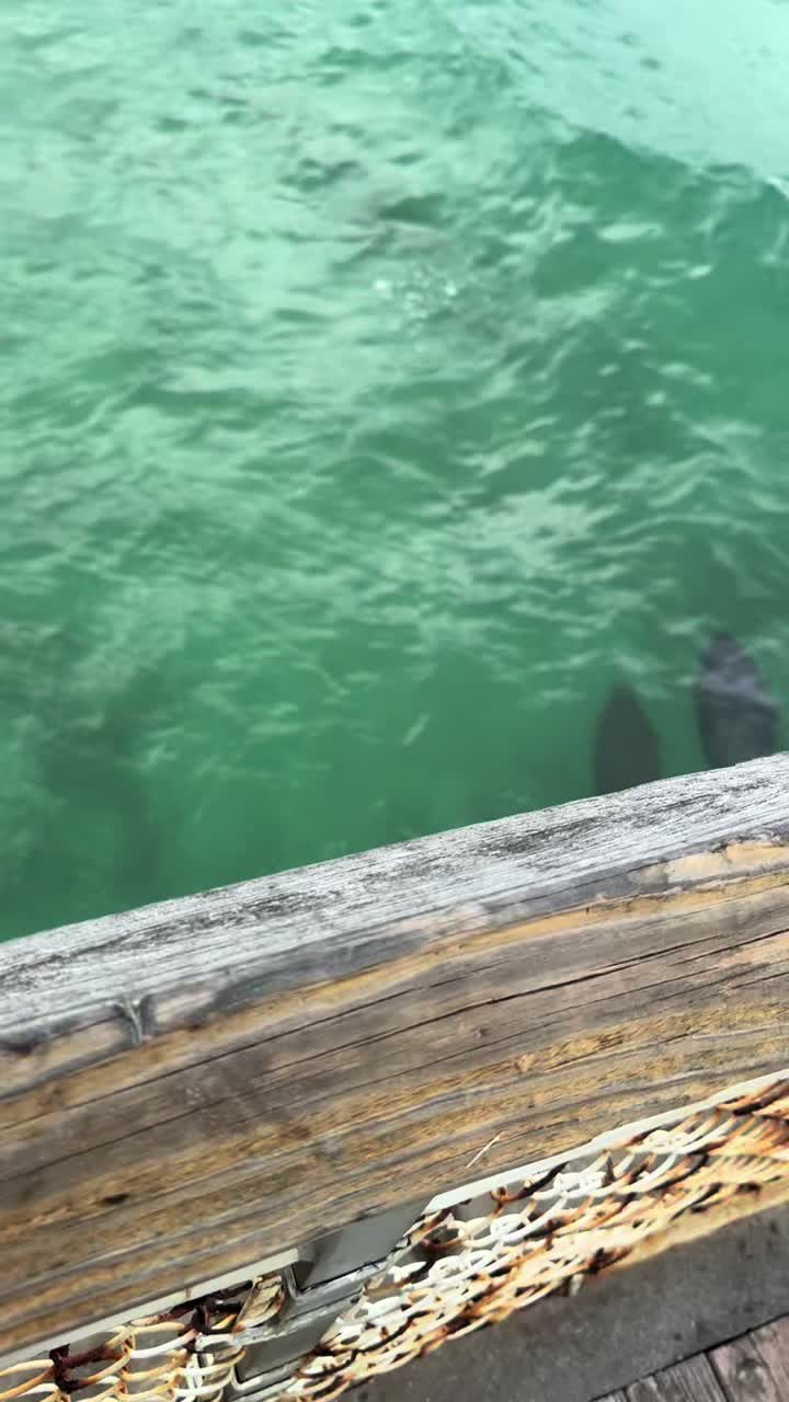 @OkaloosaIslandPier