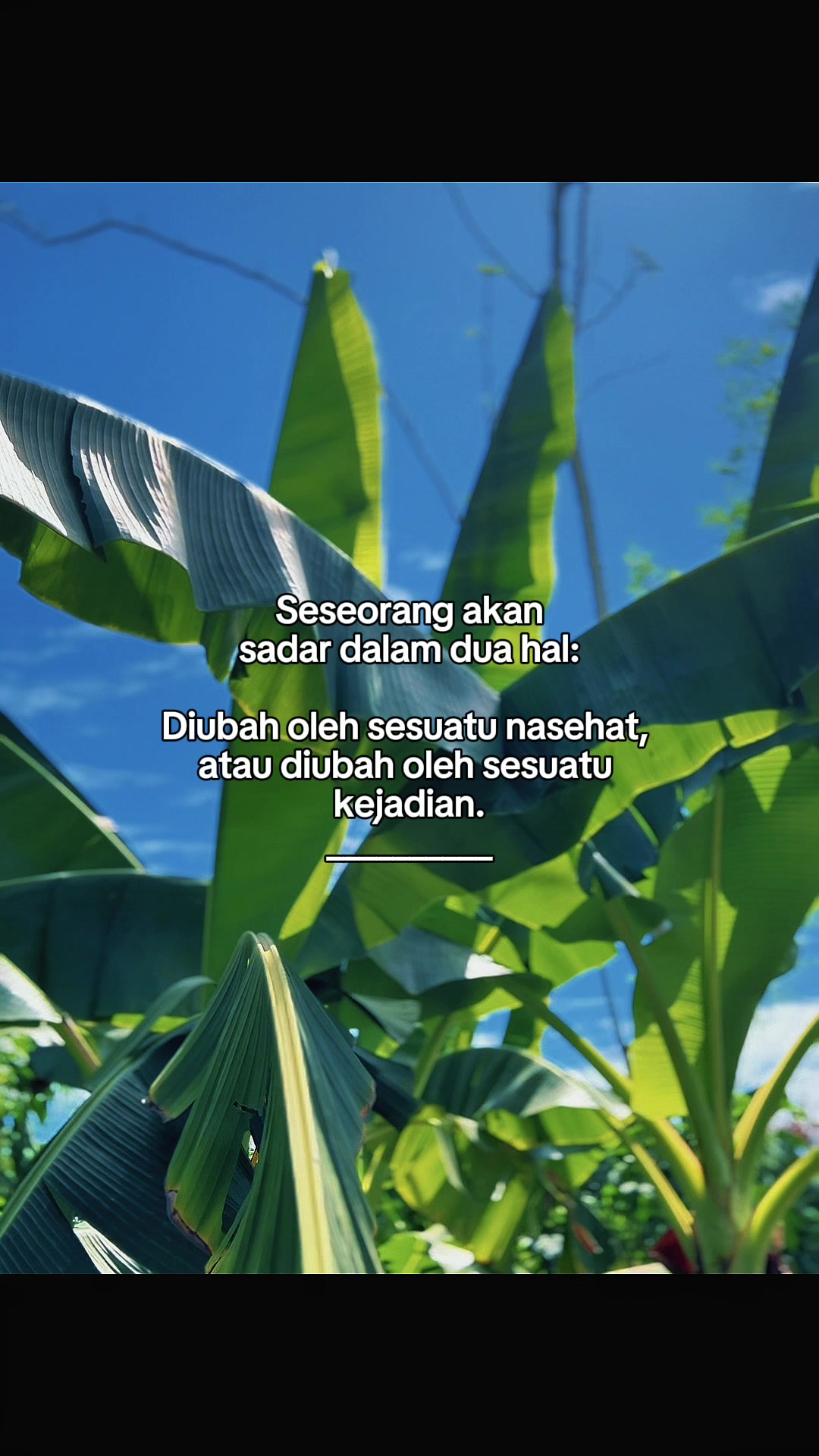 @INTROVERT