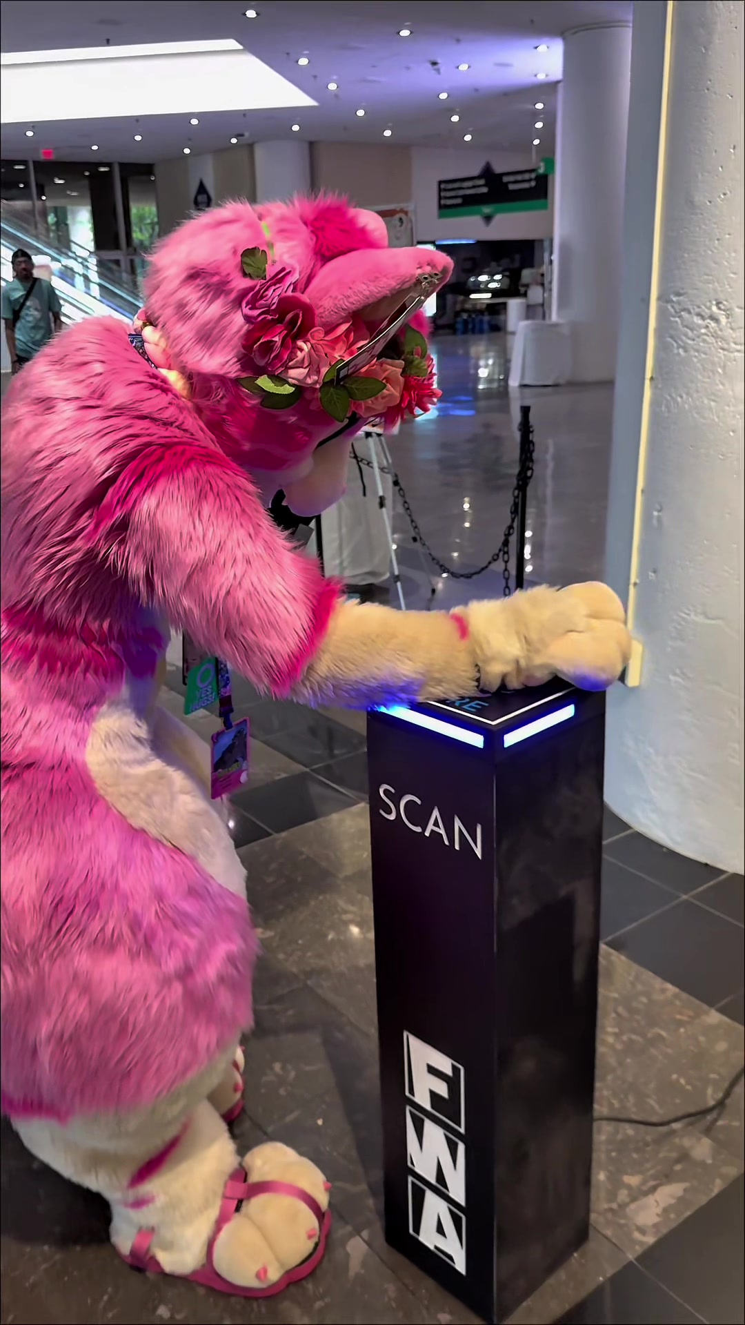 @AGayPinkCat
