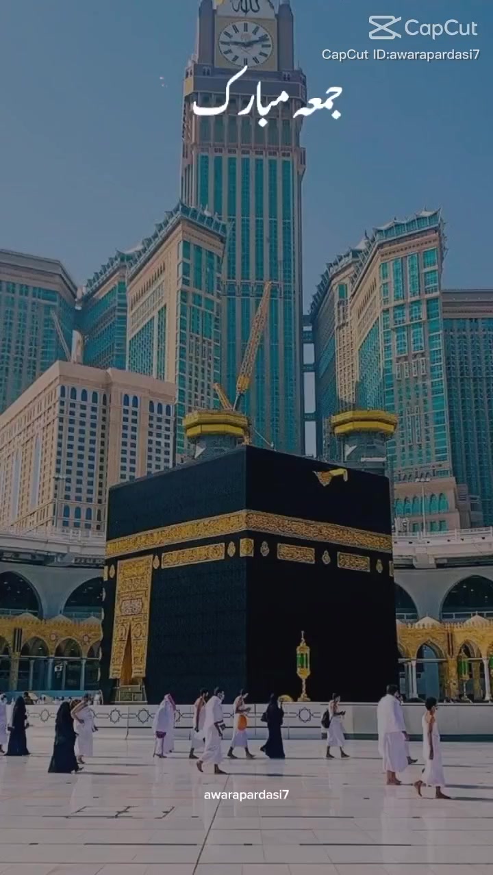 @MrMujahid8653