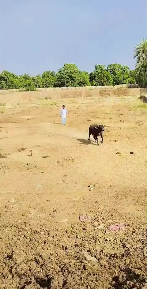 @متلبی🖤~🤧