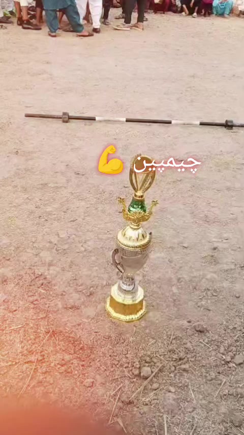 @WajidAli8080