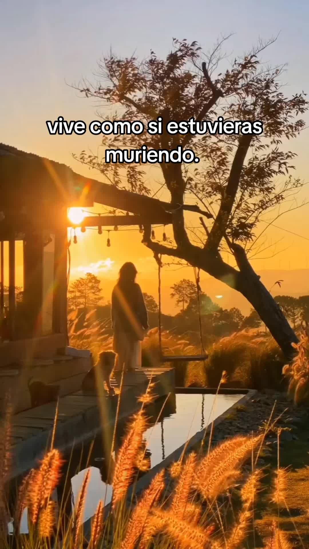 @Claribella 🦋🦋