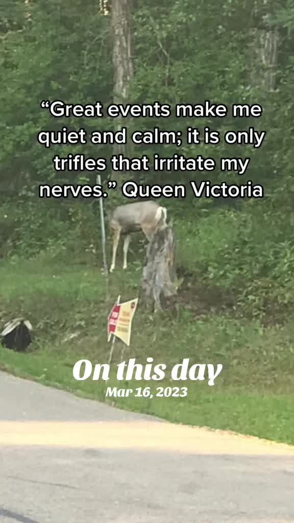 @MrBlue. (RDog) 🇨🇦