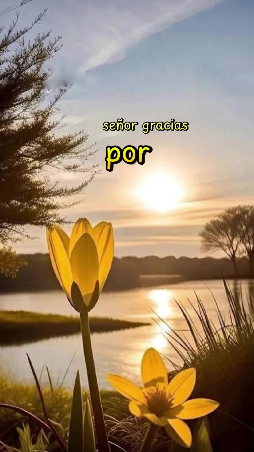 @Roxana