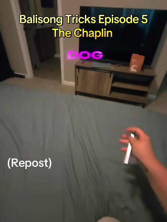 @DevDog