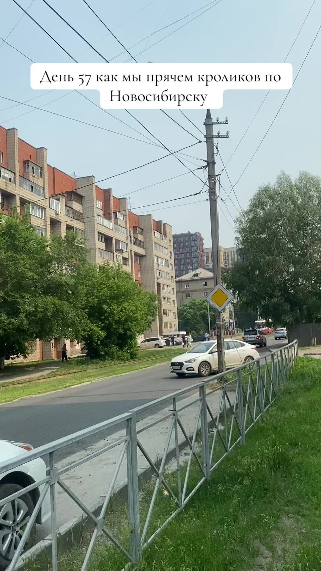 @Кролики