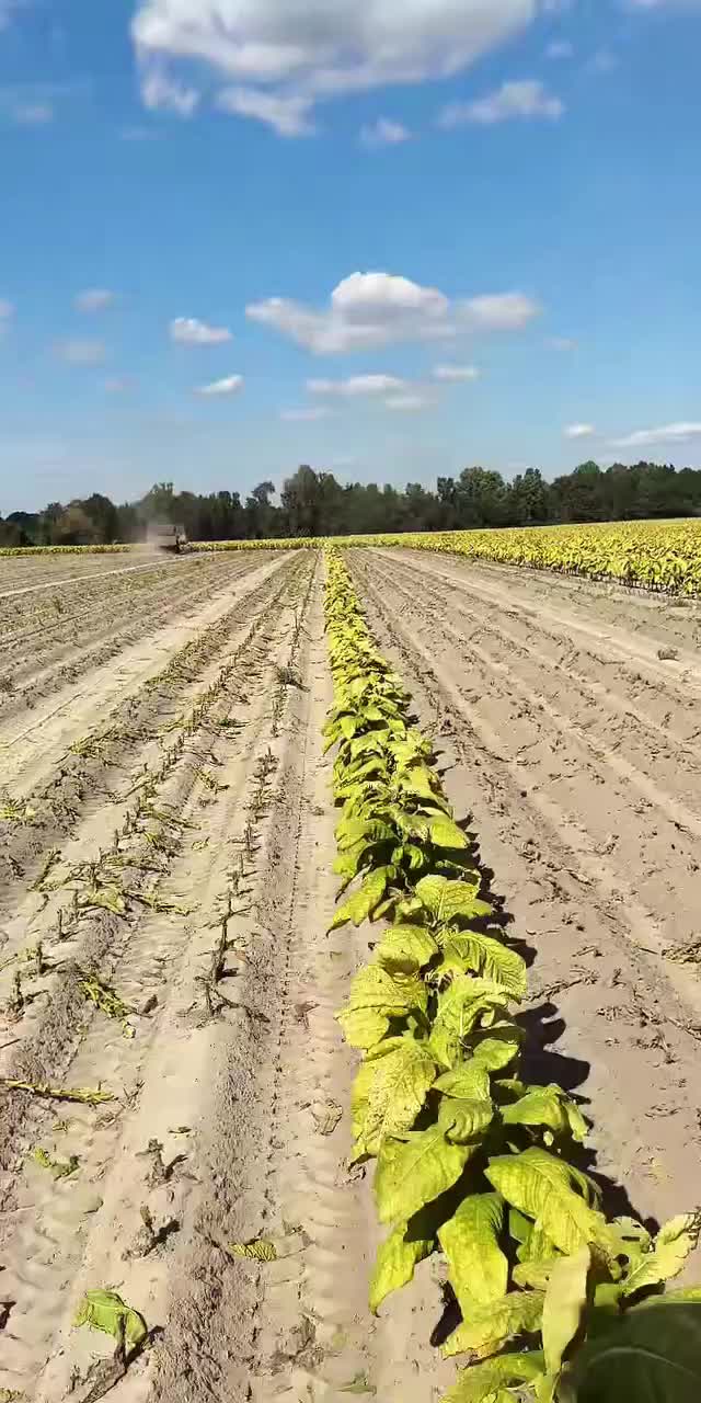 @Jwh farms