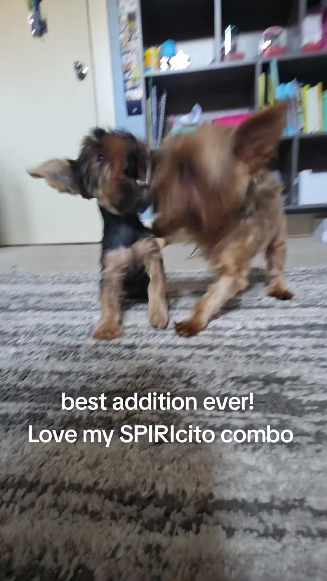 @SPI-RIO-cito