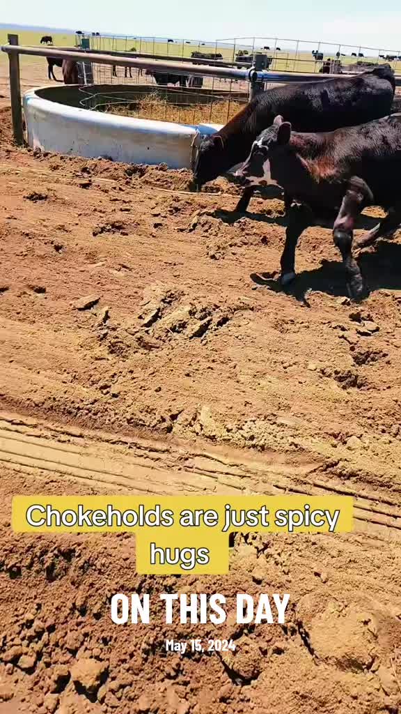@The Unhinged Rancher