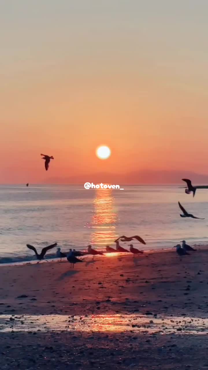 @Hotoven_