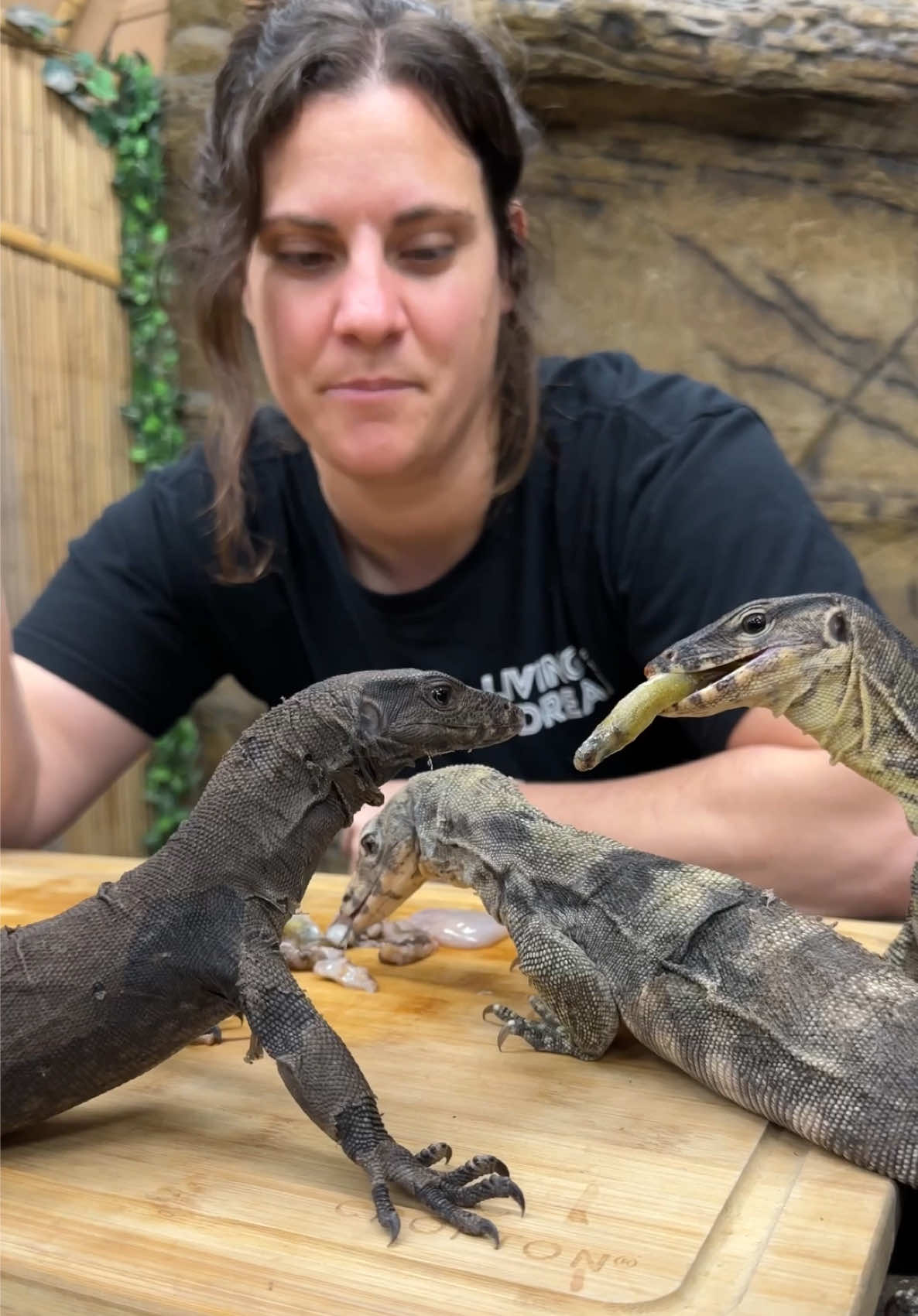 @The Reptile Zoo