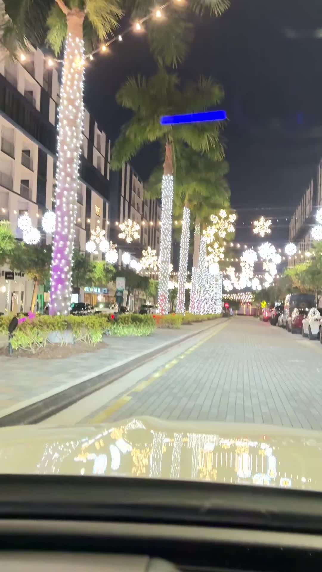 @josegarrido7812