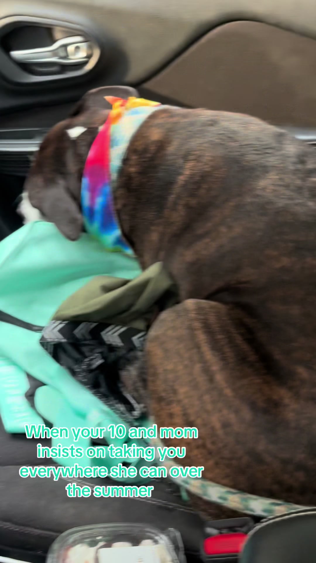 @Nikki