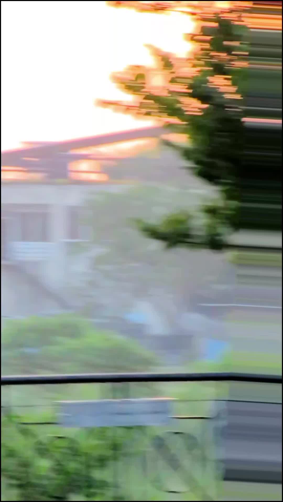 @༼ ❌↗ 𝙎𝘿𝙍.spinwal ↖ ༽❌