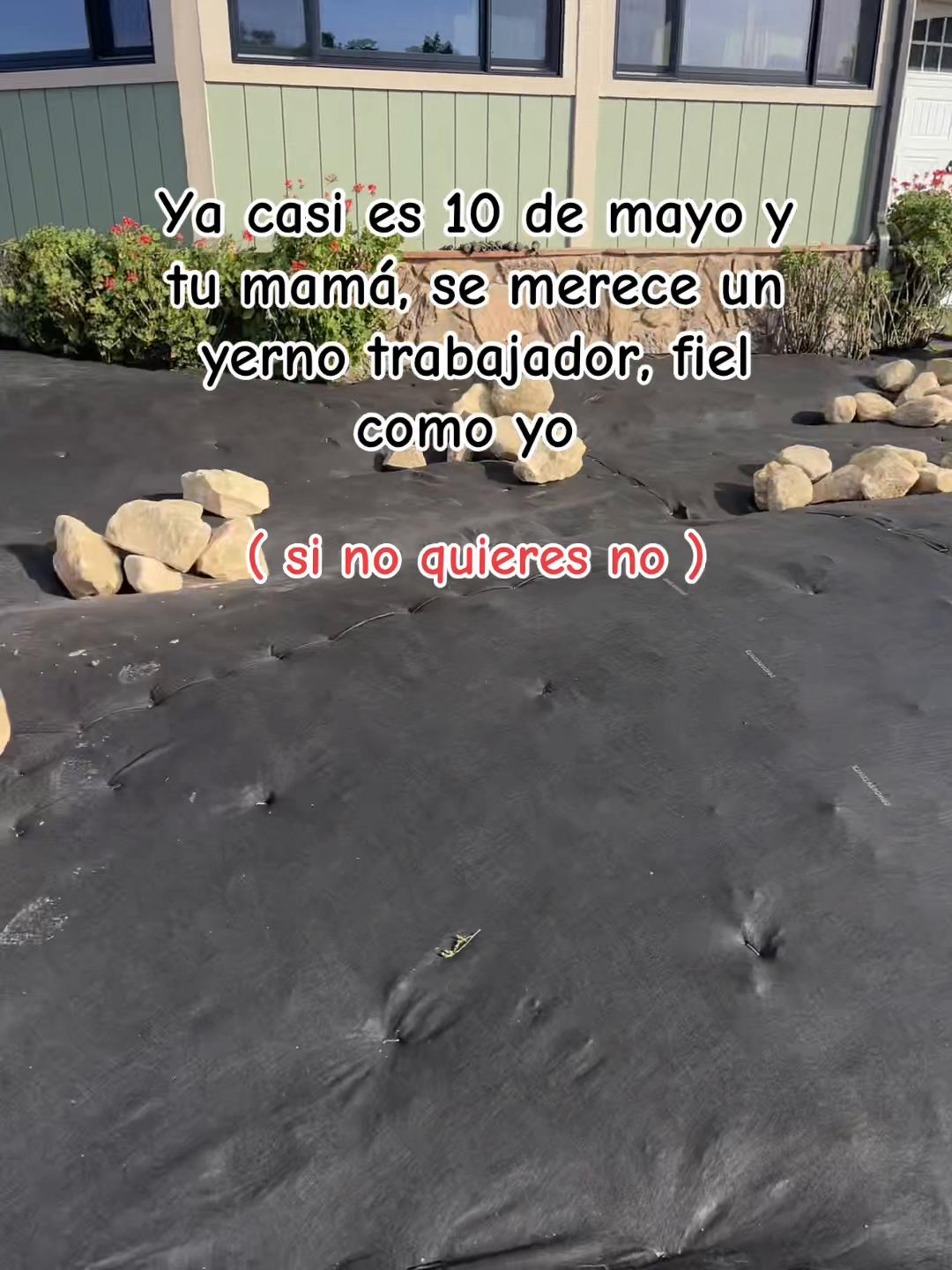 @albertosanchez072004