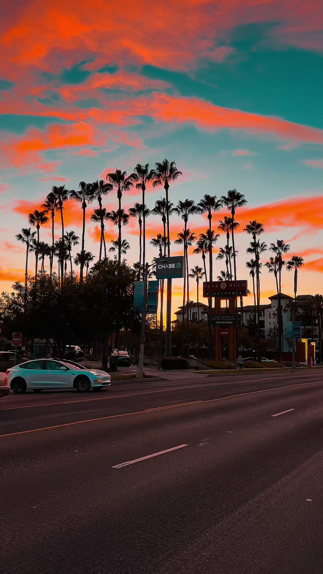 @Erfan | Epic America