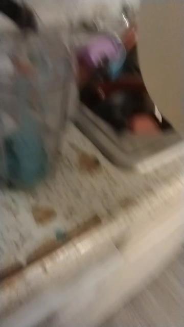 @kittycat20