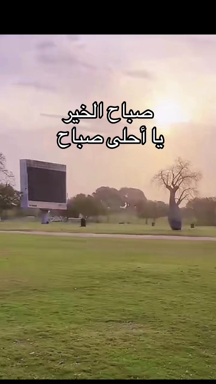 @Omfarouk_7