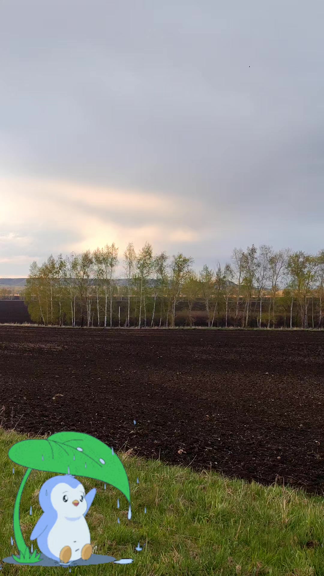 @Энджэ