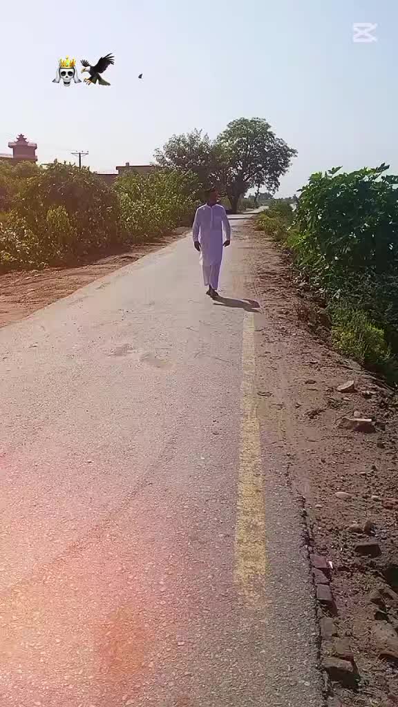 @Hassan786