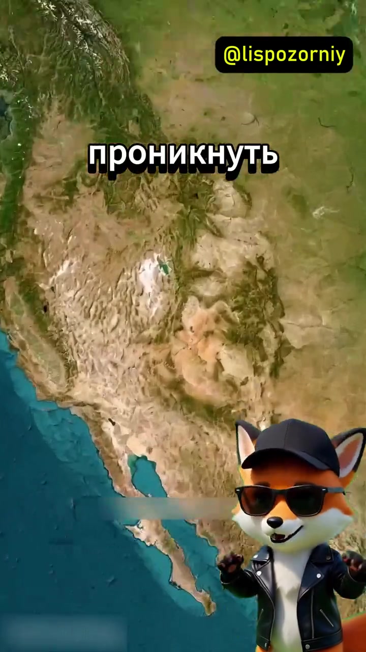 @мемы