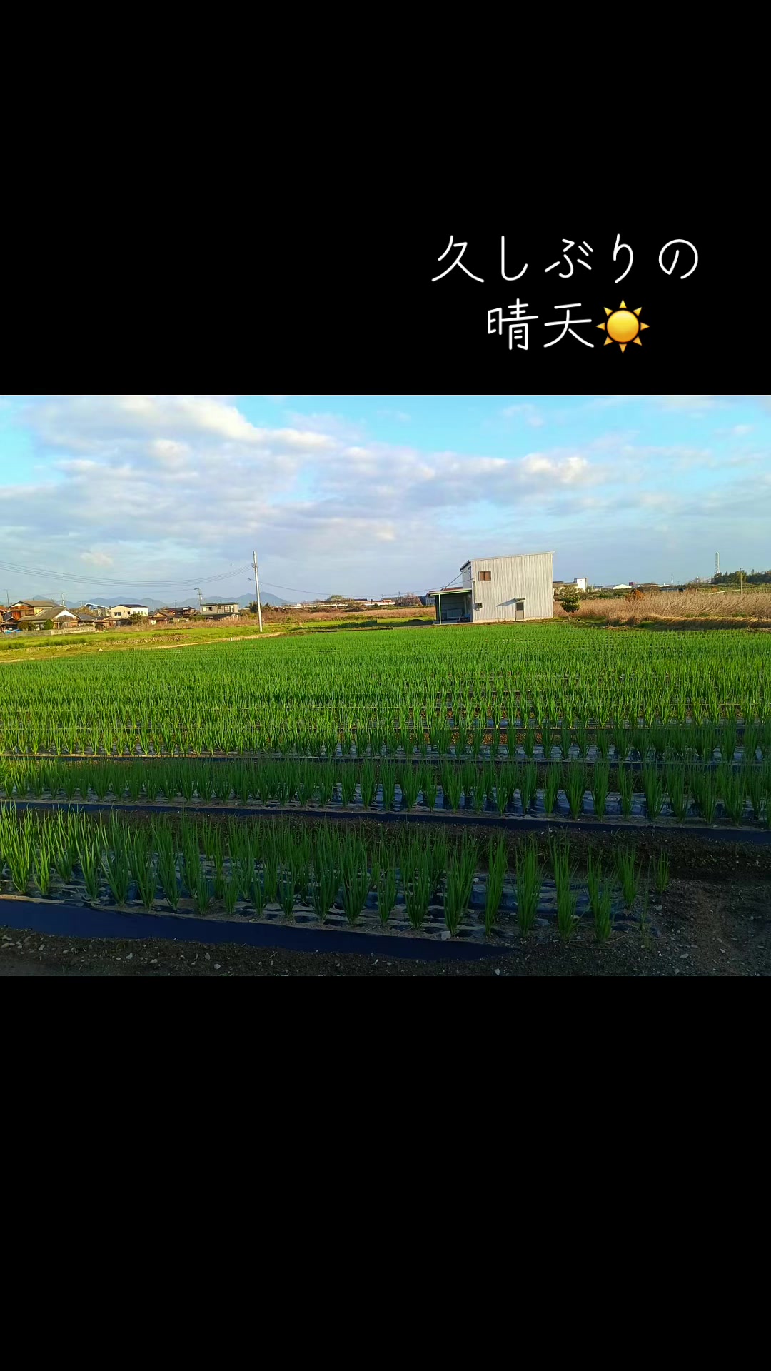 @snup.farm