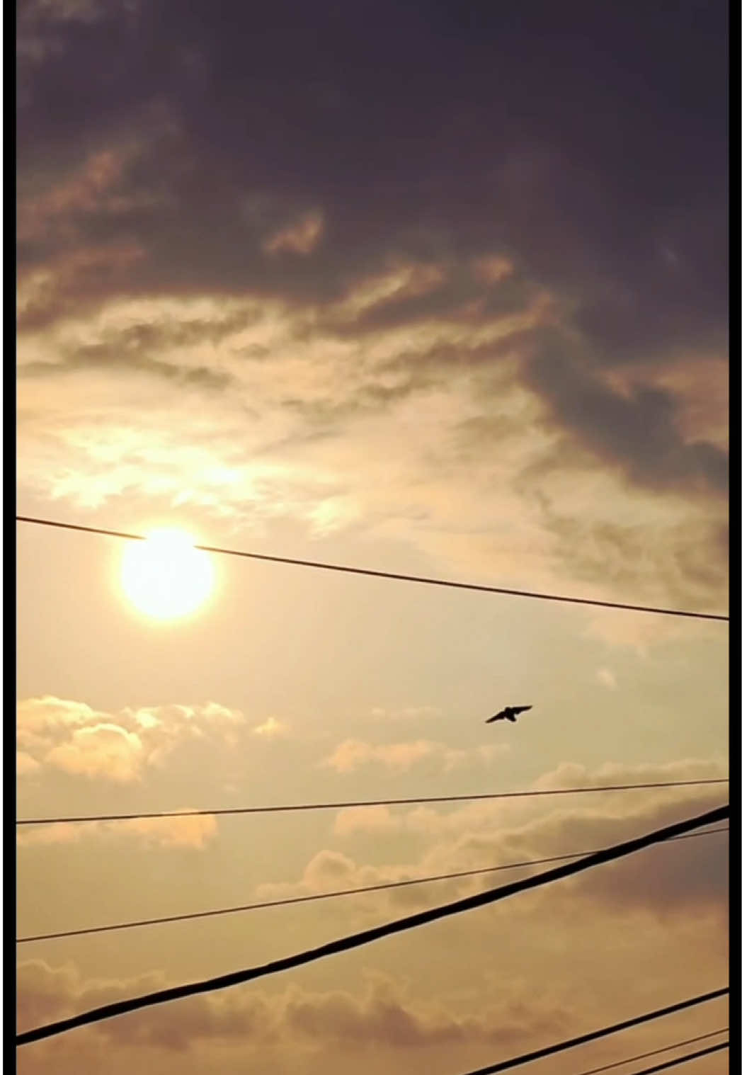 @๐จ. ๐